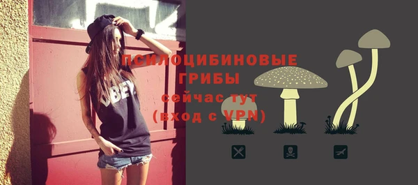 прущие грибы Тихвин