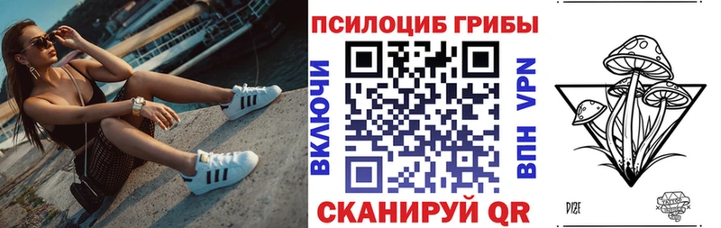 Галлюциногенные грибы MAGIC MUSHROOMS  Тверь 