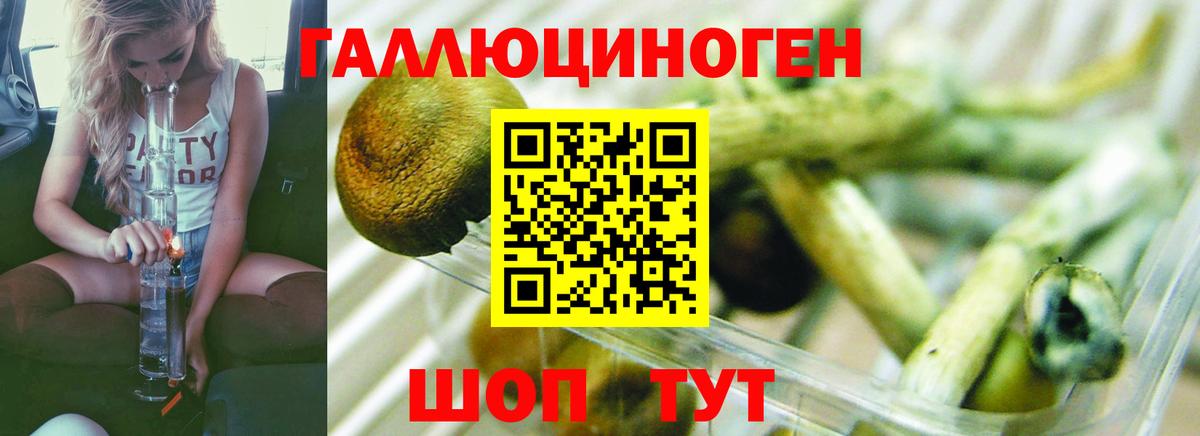 Тверь  Галлюциногенные грибы ЛСД  Вход с VPN 