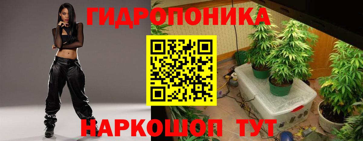 Бошки Шишки THC 21%  Шишки марихуана семена  Тверь  Вход с VPN 